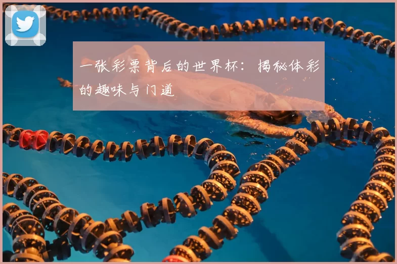 一张彩票背后的世界杯:揭秘体彩的趣味与门道