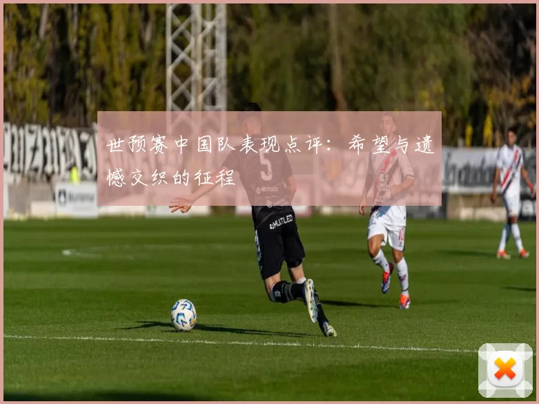世预赛中国队表现点评：希望与遗憾交织的征程