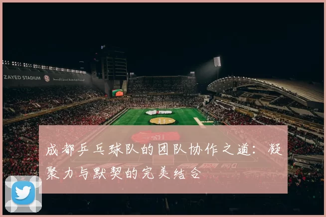 成都乒乓球队的团队协作之道:凝聚力与默契的完美结合