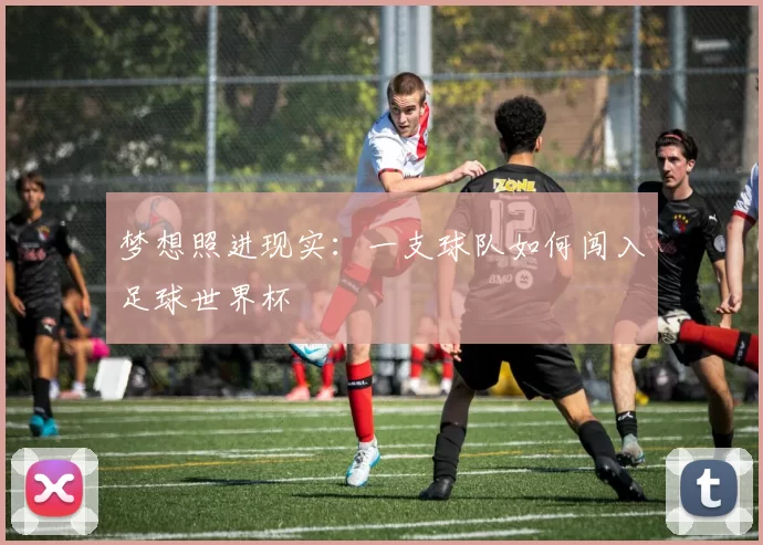 梦想照进现实：一支球队如何闯入足球世界杯