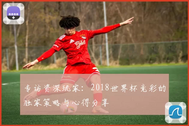 专访资深玩家:2018世界杯竞彩的独家策略与心得分享