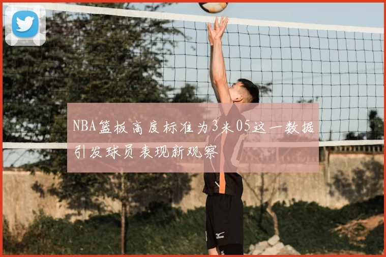 NBA篮板高度标准为3米05这一数据引发球员表现新观察