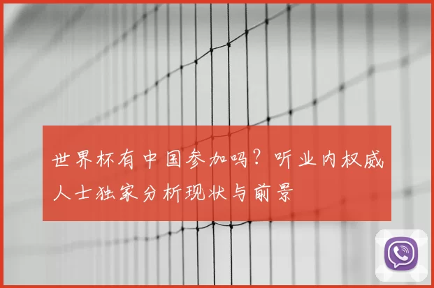 世界杯有中国参加吗?听业内权威人士独家分析现状与前景