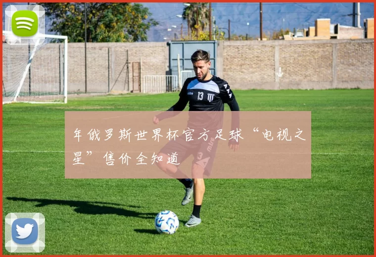 年俄罗斯世界杯官方足球“电视之星”售价全知道