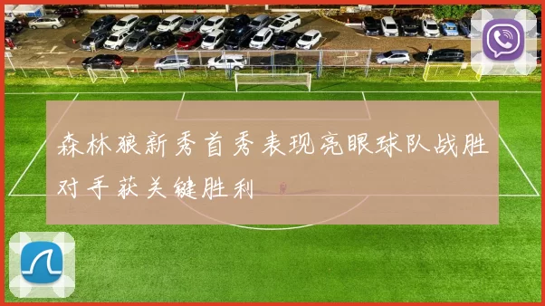 森林狼新秀首秀表现亮眼球队战胜对手获关键胜利