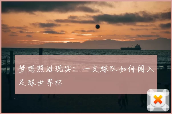 梦想照进现实:一支球队如何闯入足球世界杯