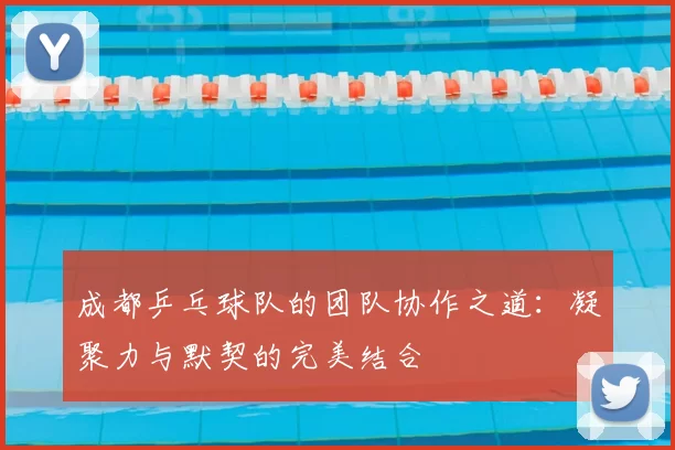 成都乒乓球队的团队协作之道:凝聚力与默契的完美结合