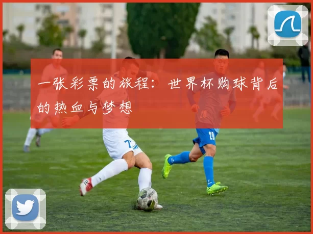 一张彩票的旅程：世界杯购球背后的热血与梦想