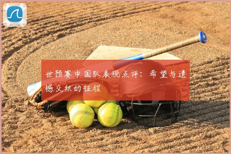 世预赛中国队表现点评:希望与遗憾交织的征程